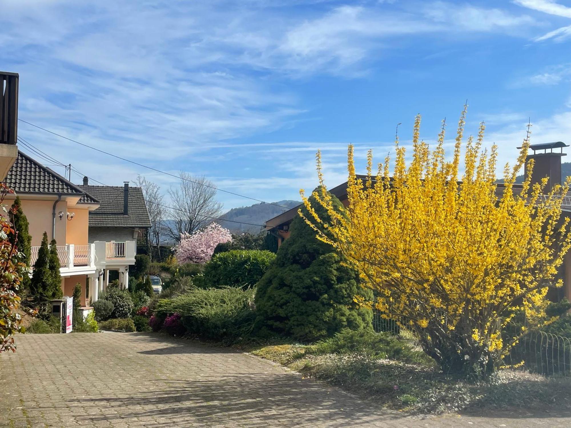 L'impasse En Duo, Cosy 2 Personnes Avec Exterieur Prive Munster (Haut-Rhin)
